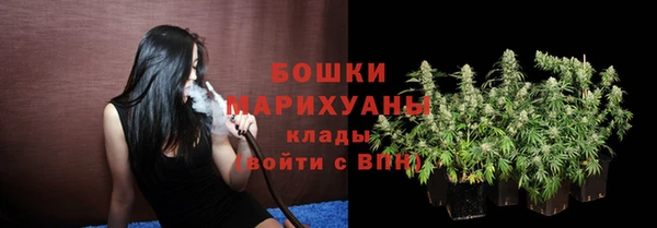 стаф Балахна
