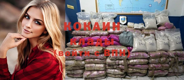 стаф Балахна