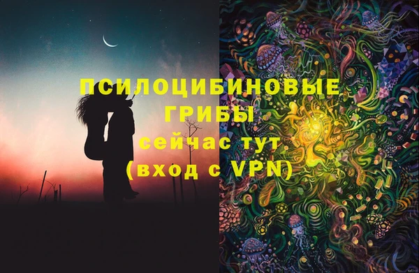 стаф Балахна